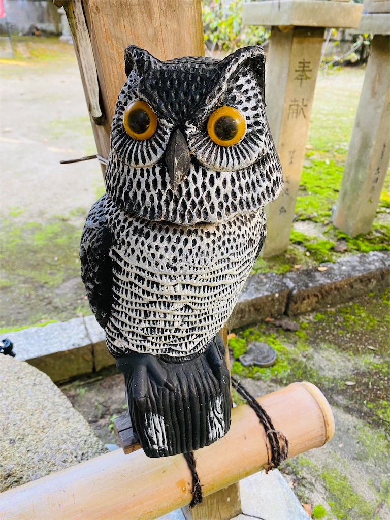 f:id:yukix03:20241124154517j:image