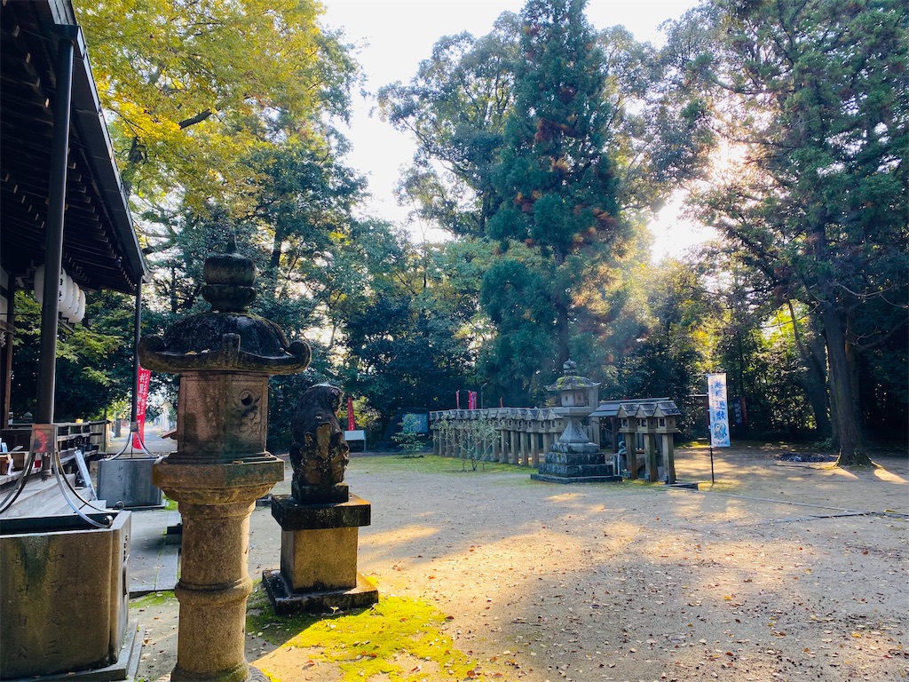 f:id:yukix03:20241124154600j:image