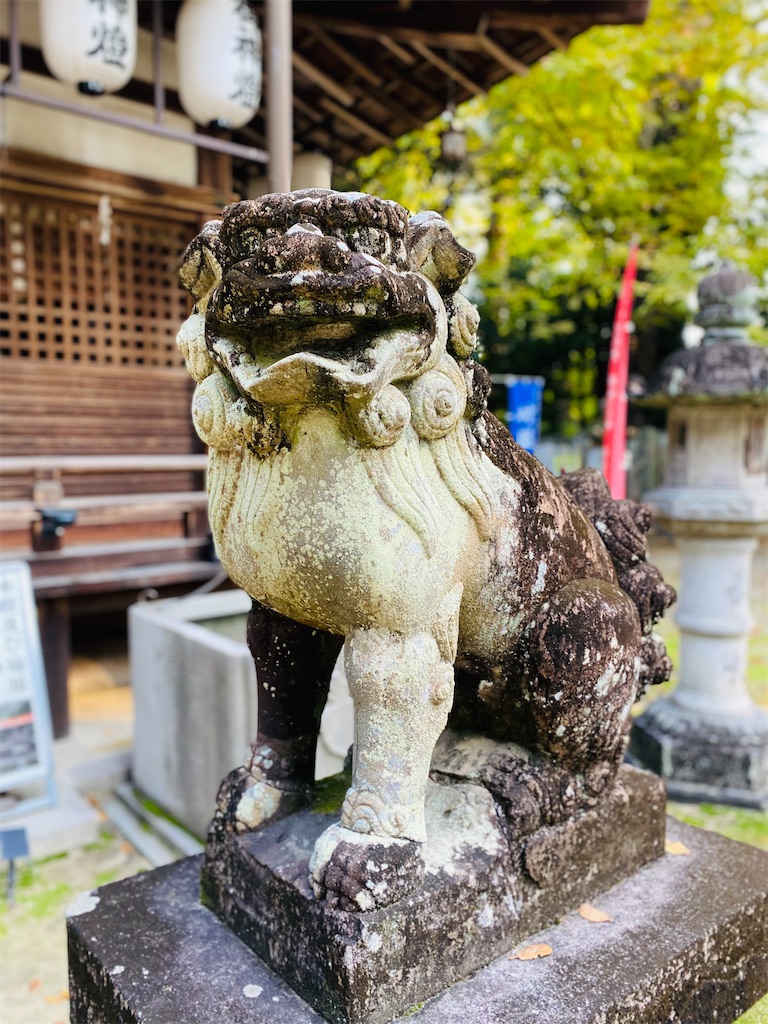 f:id:yukix03:20241124154620j:image