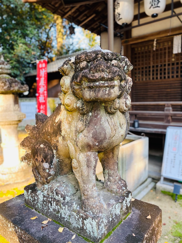 f:id:yukix03:20241124154624j:image