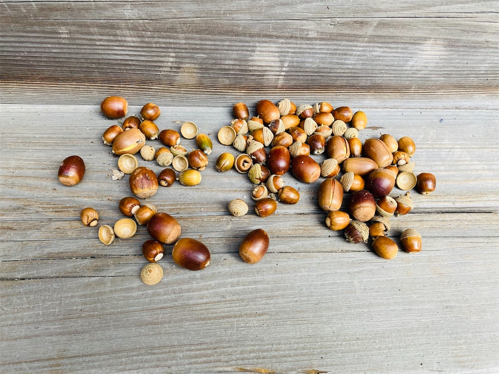 f:id:yukix03:20241124154711j:image