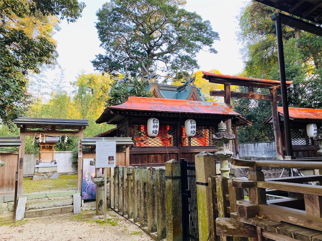 f:id:yukix03:20241124154921j:image