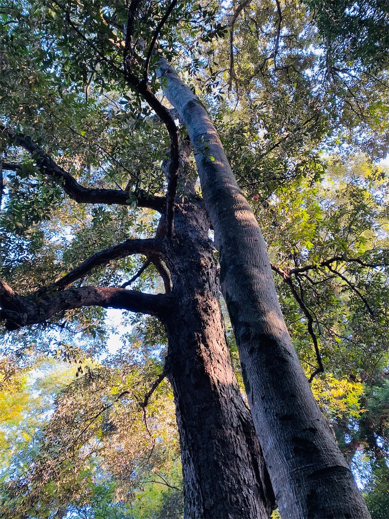 f:id:yukix03:20241124155434j:image