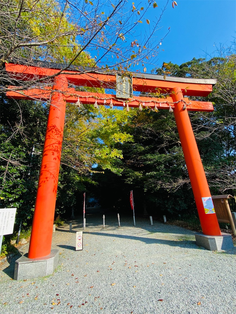 f:id:yukix03:20241126203300j:image