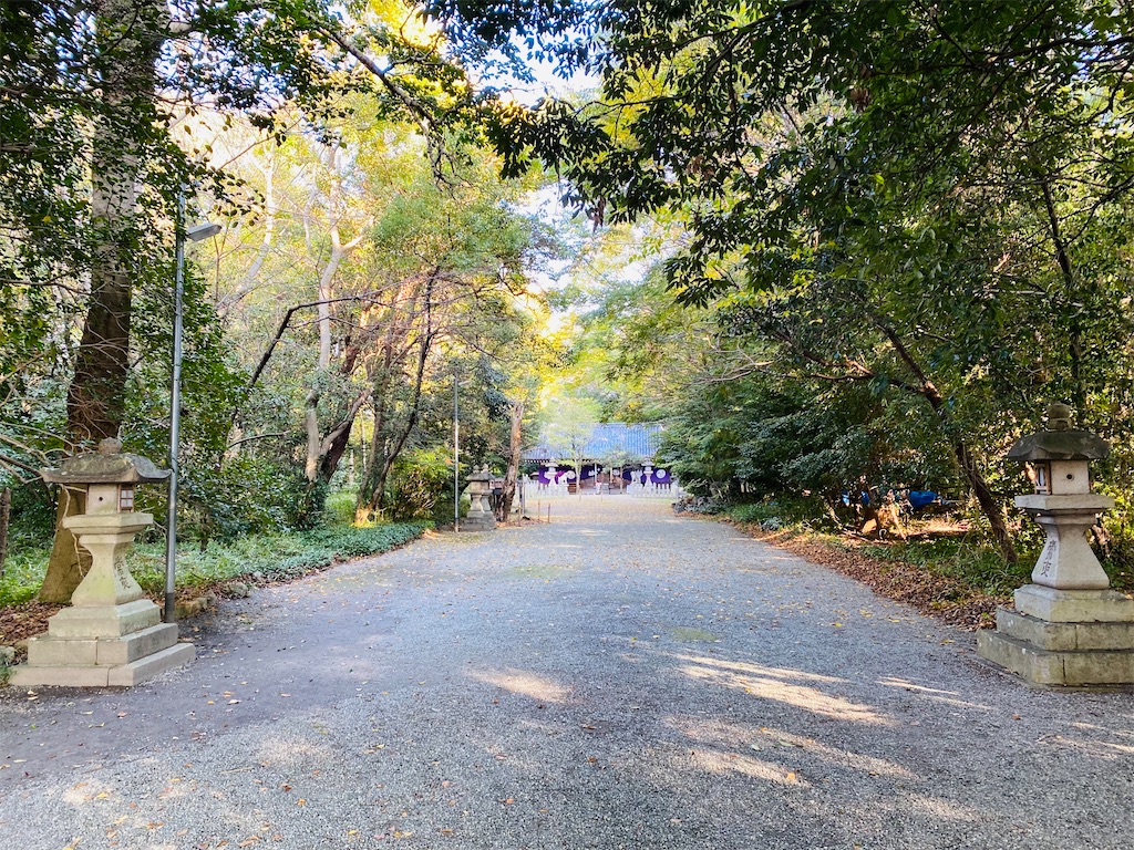 f:id:yukix03:20241126203325j:image