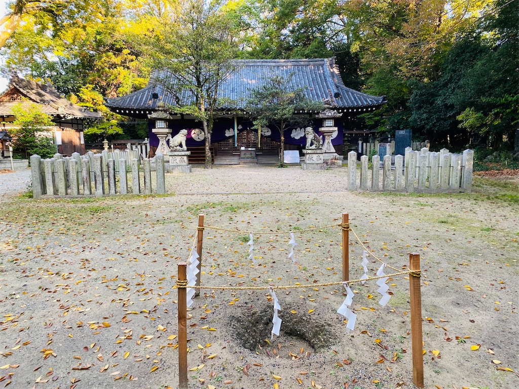 f:id:yukix03:20241126203625j:image