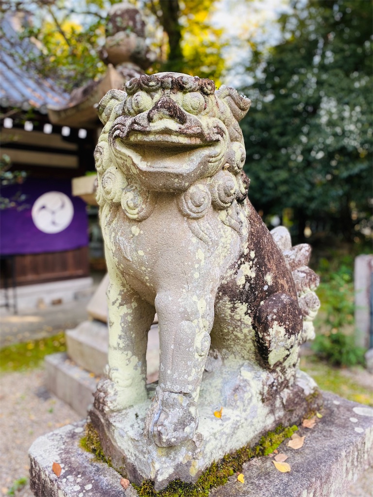 f:id:yukix03:20241126203830j:image