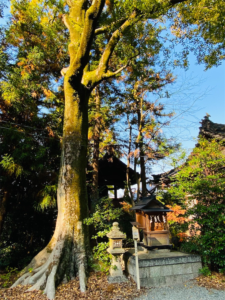 f:id:yukix03:20241126203924j:image