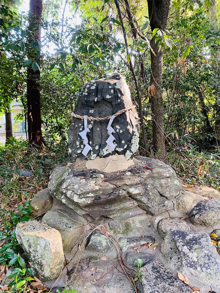 f:id:yukix03:20241126204029j:image