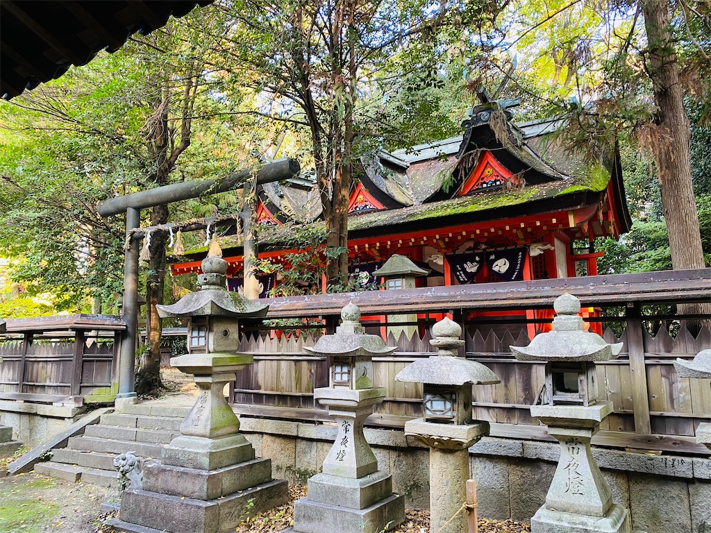 f:id:yukix03:20241126204253j:image