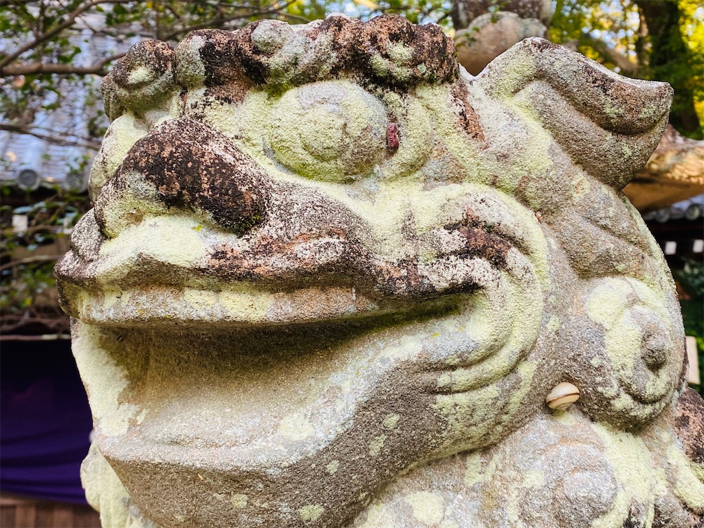 f:id:yukix03:20241126204402j:image