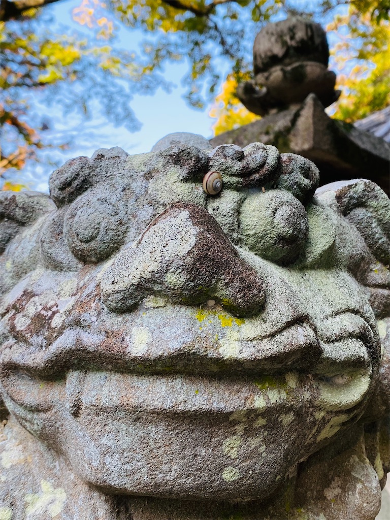 f:id:yukix03:20241126204420j:image