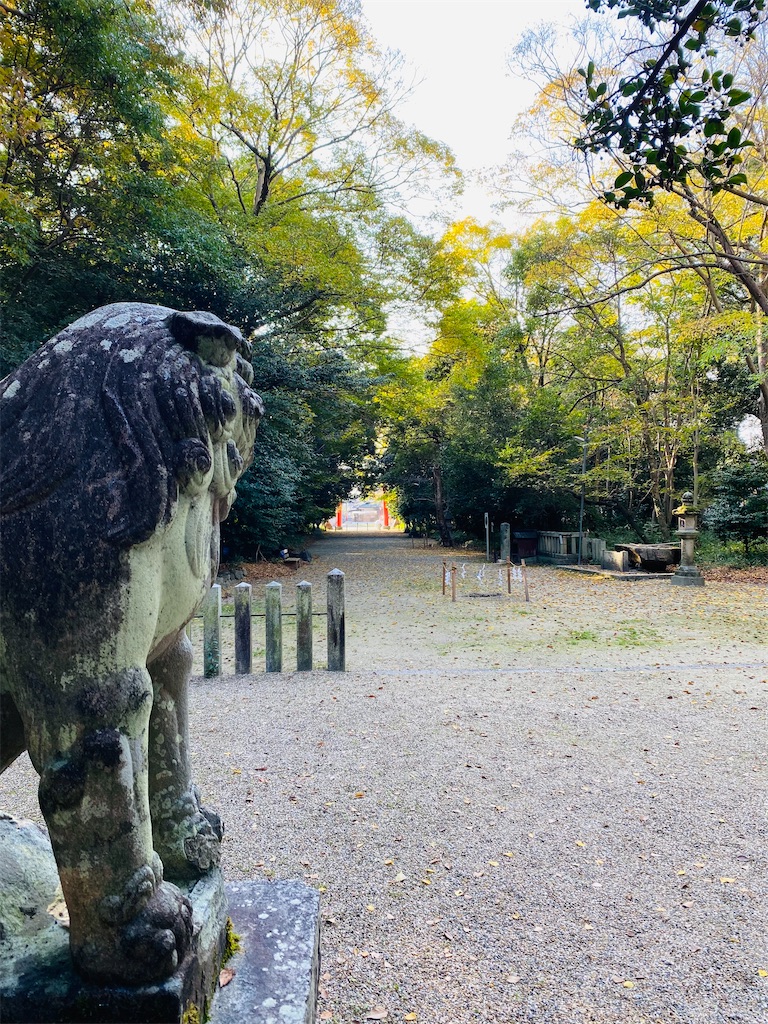 f:id:yukix03:20241126204501j:image