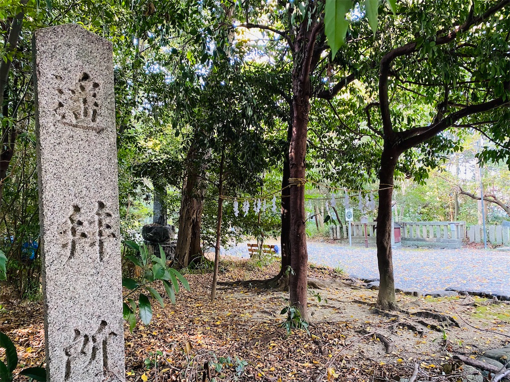 f:id:yukix03:20241126204517j:image