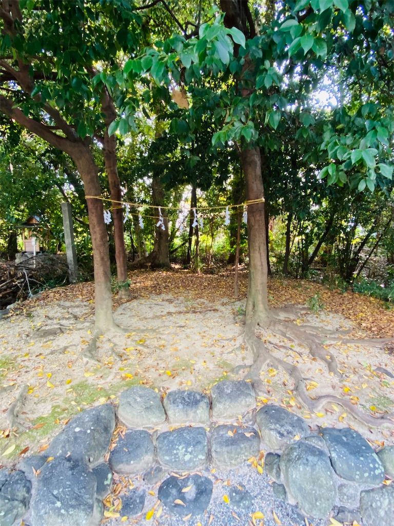 f:id:yukix03:20241126204543j:image