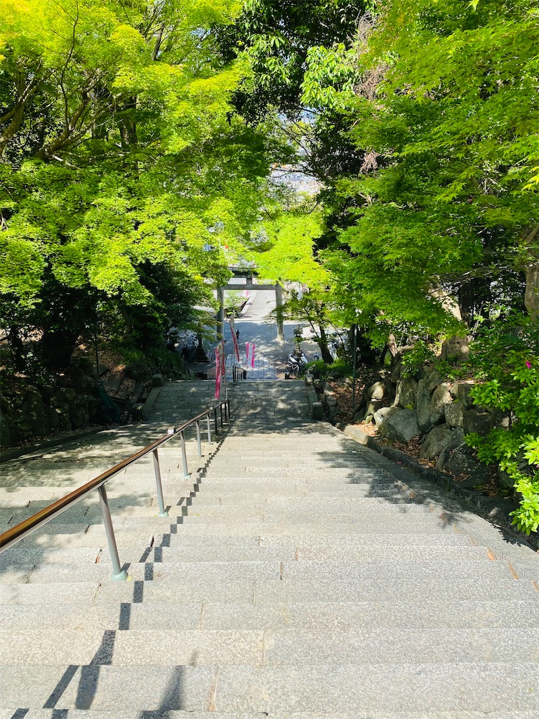 f:id:yukix03:20250516192841j:image f:id:yukix03:20250516192841j:image