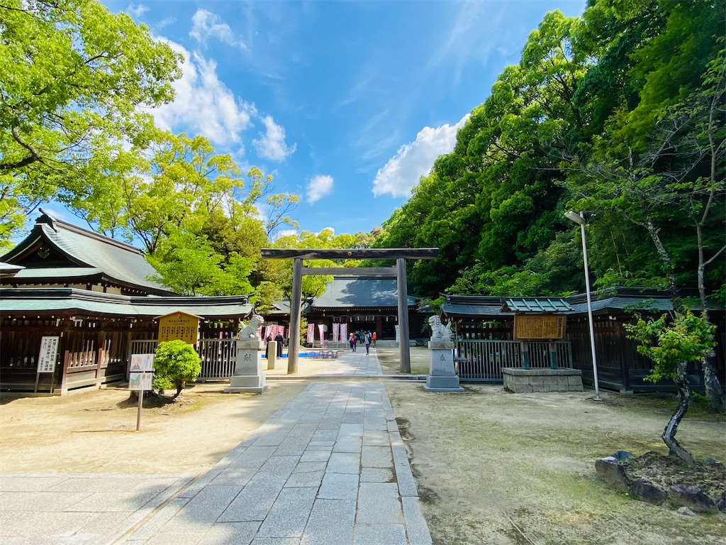 f:id:yukix03:20250516193133j:image f:id:yukix03:20250516193133j:image