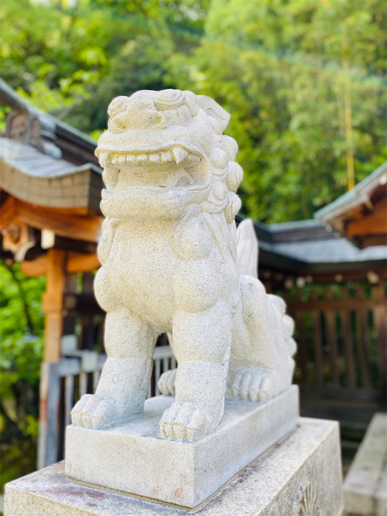 f:id:yukix03:20250516193347j:image f:id:yukix03:20250516193347j:image