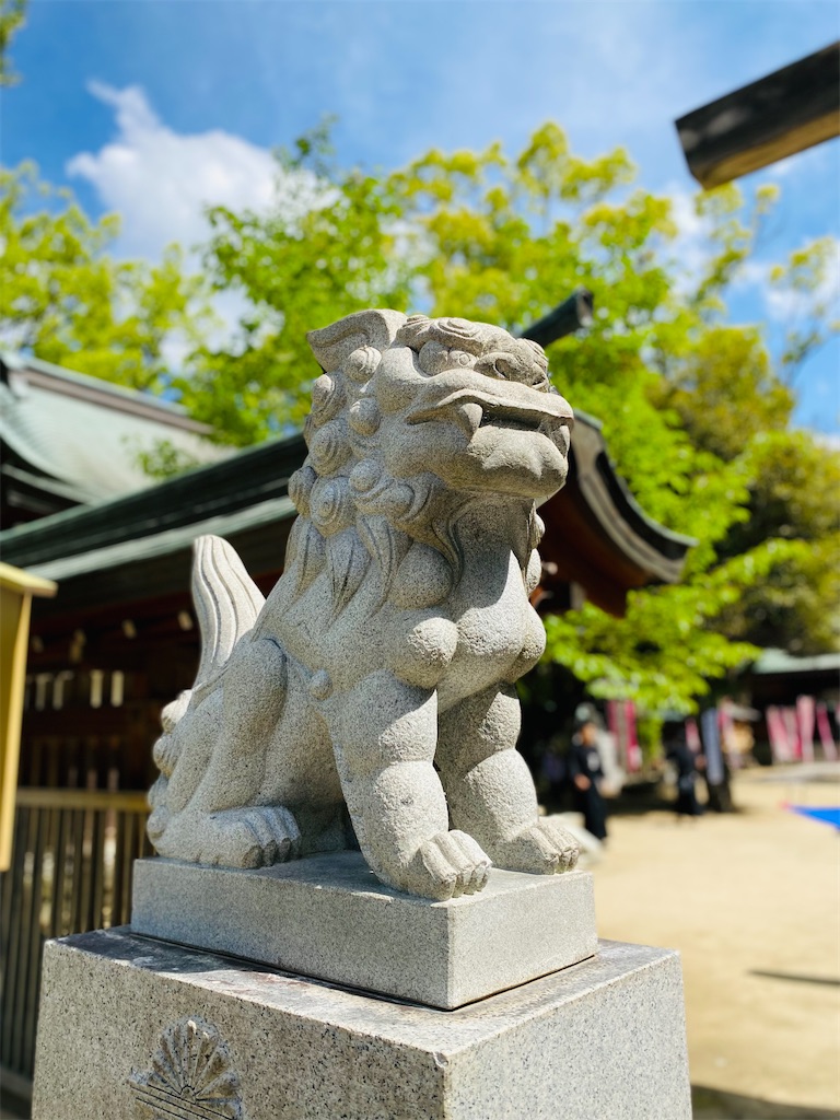 f:id:yukix03:20250516193350j:image f:id:yukix03:20250516193350j:image