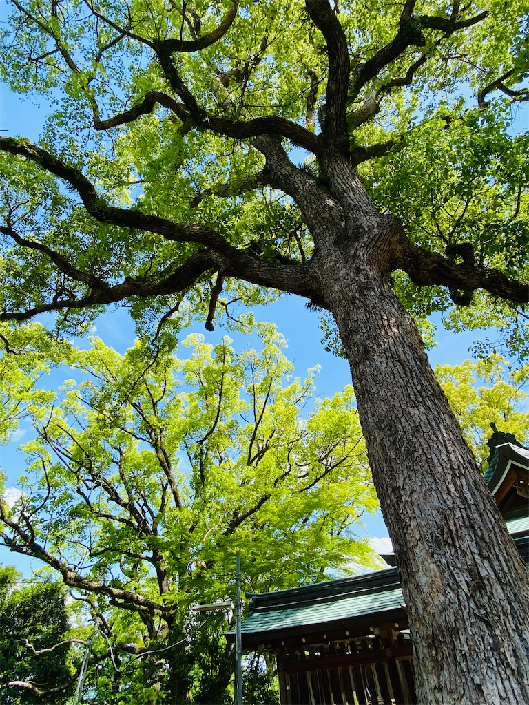 f:id:yukix03:20250516194155j:image f:id:yukix03:20250516194155j:image
