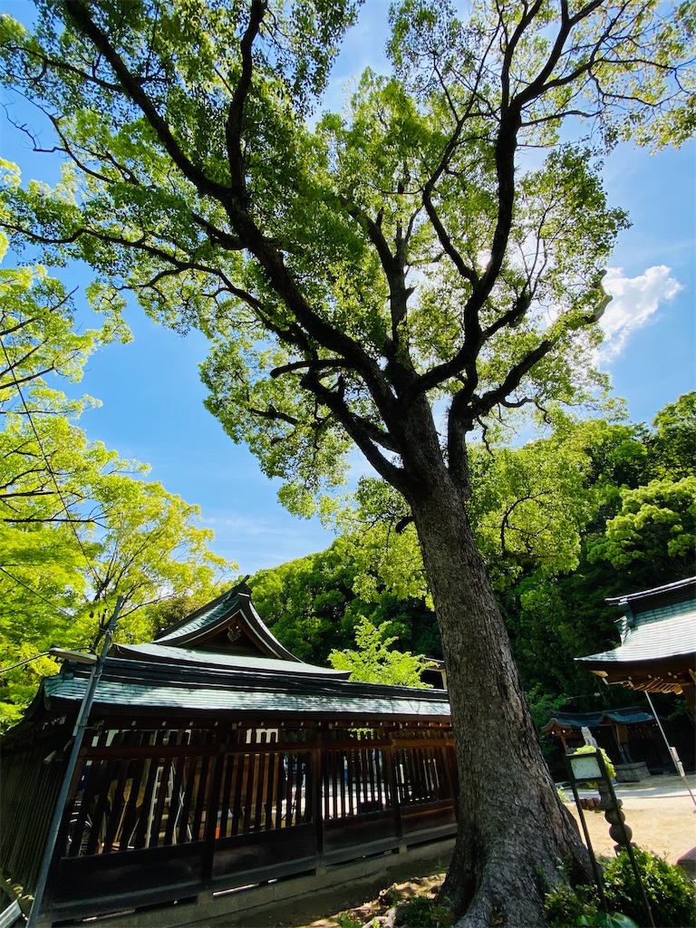 f:id:yukix03:20250516194213j:image f:id:yukix03:20250516194213j:image