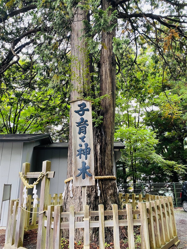 f:id:yukix03:20251029220136j:image