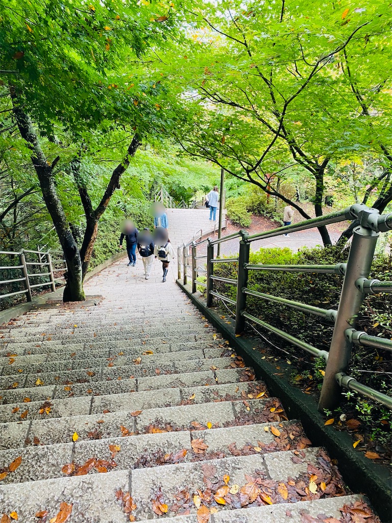 f:id:yukix03:20251029220428j:image