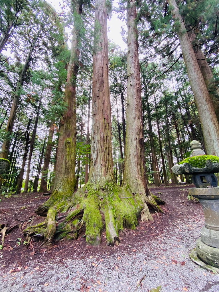 f:id:yukix03:20251031200656j:image