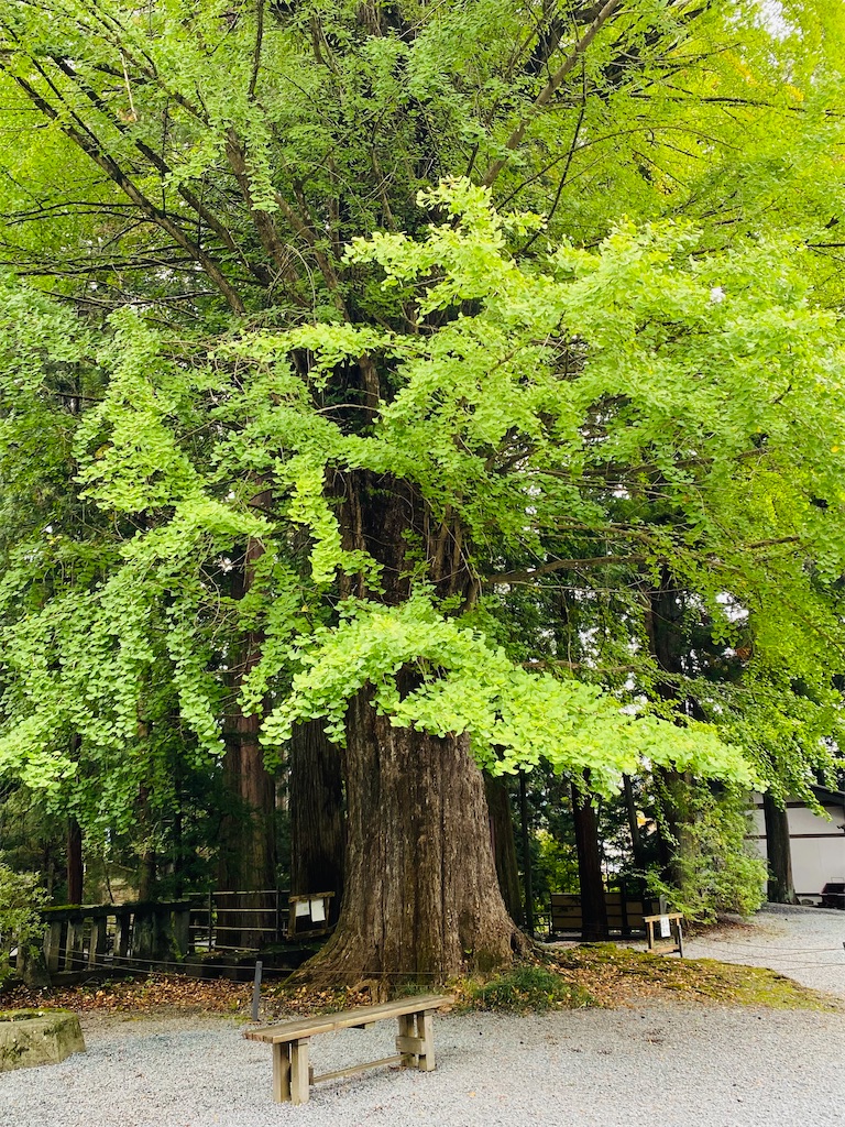 f:id:yukix03:20251031201256j:image