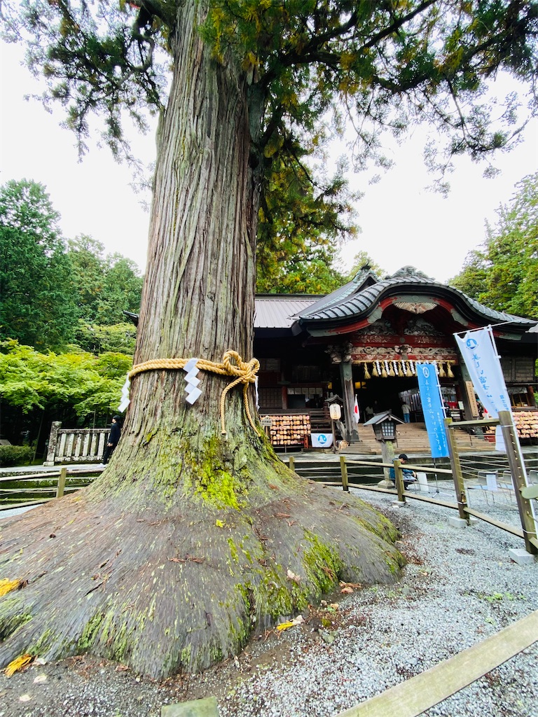 f:id:yukix03:20251031201416j:image