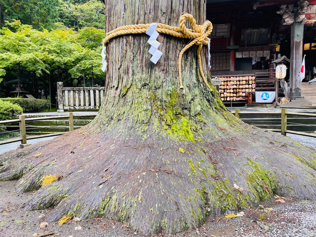 f:id:yukix03:20251031201445j:image