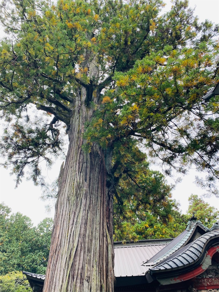 f:id:yukix03:20251031201507j:image