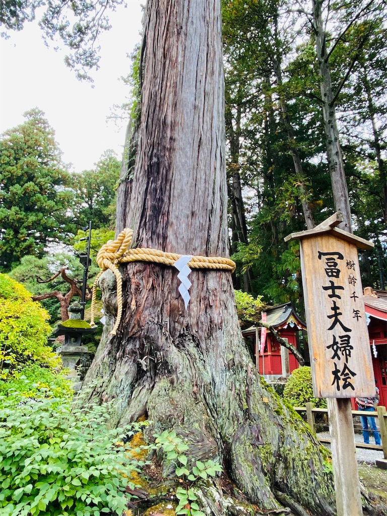 f:id:yukix03:20251031201532j:image