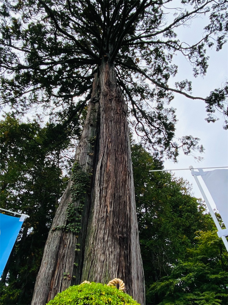 f:id:yukix03:20251031201536j:image