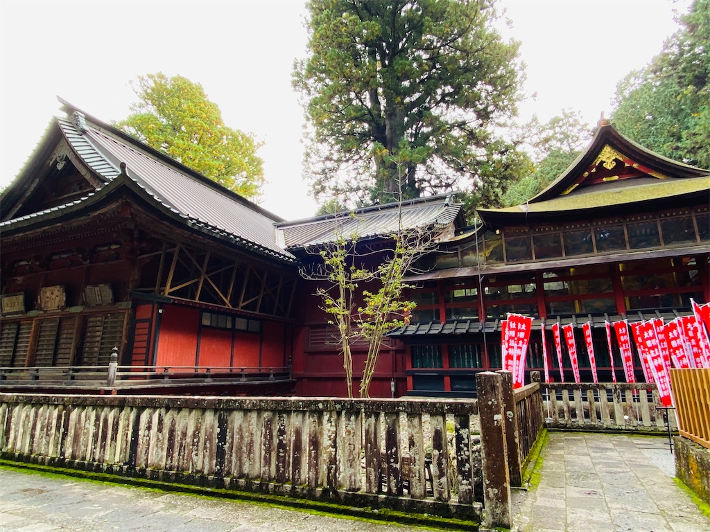 f:id:yukix03:20251031201956j:image