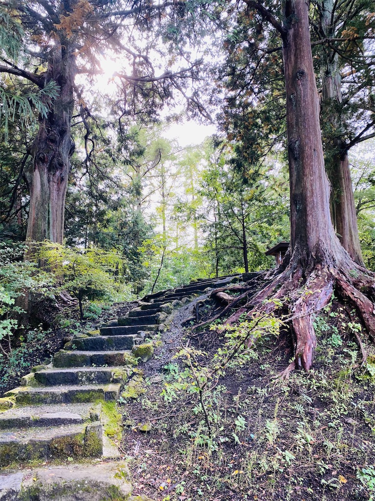 f:id:yukix03:20251031202500j:image