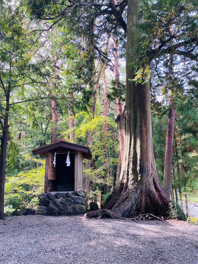 f:id:yukix03:20251031202533j:image