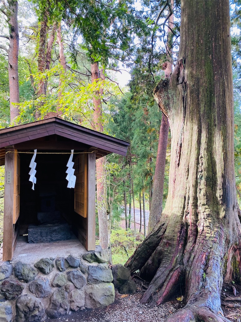 f:id:yukix03:20251031202555j:image