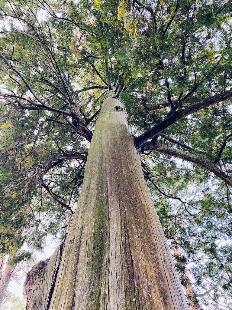 f:id:yukix03:20251031202642j:image