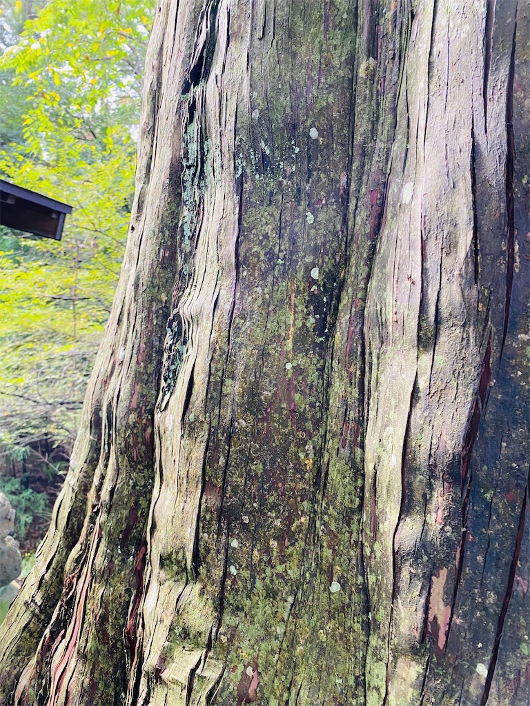 f:id:yukix03:20251031202645j:image