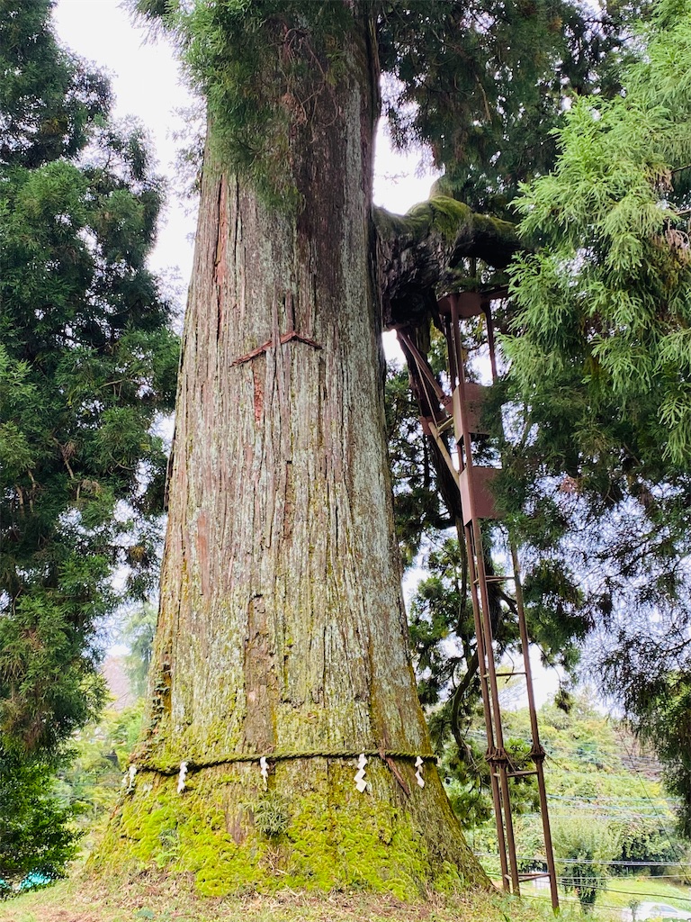 f:id:yukix03:20251103141614j:image