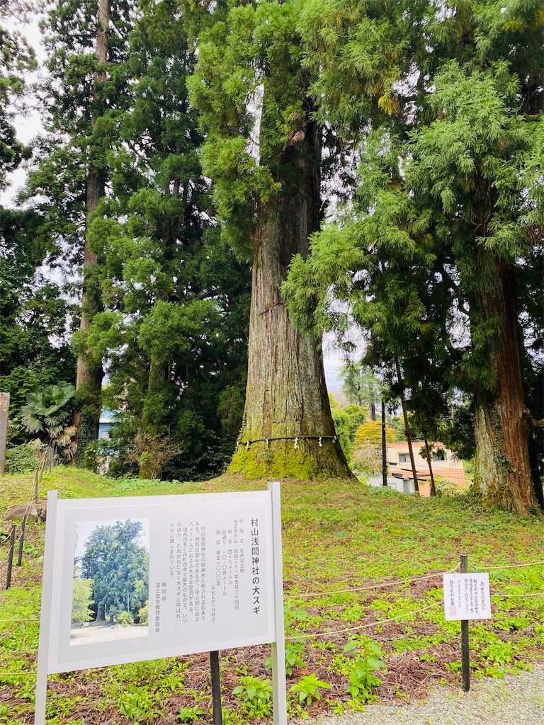 f:id:yukix03:20251103141618j:image