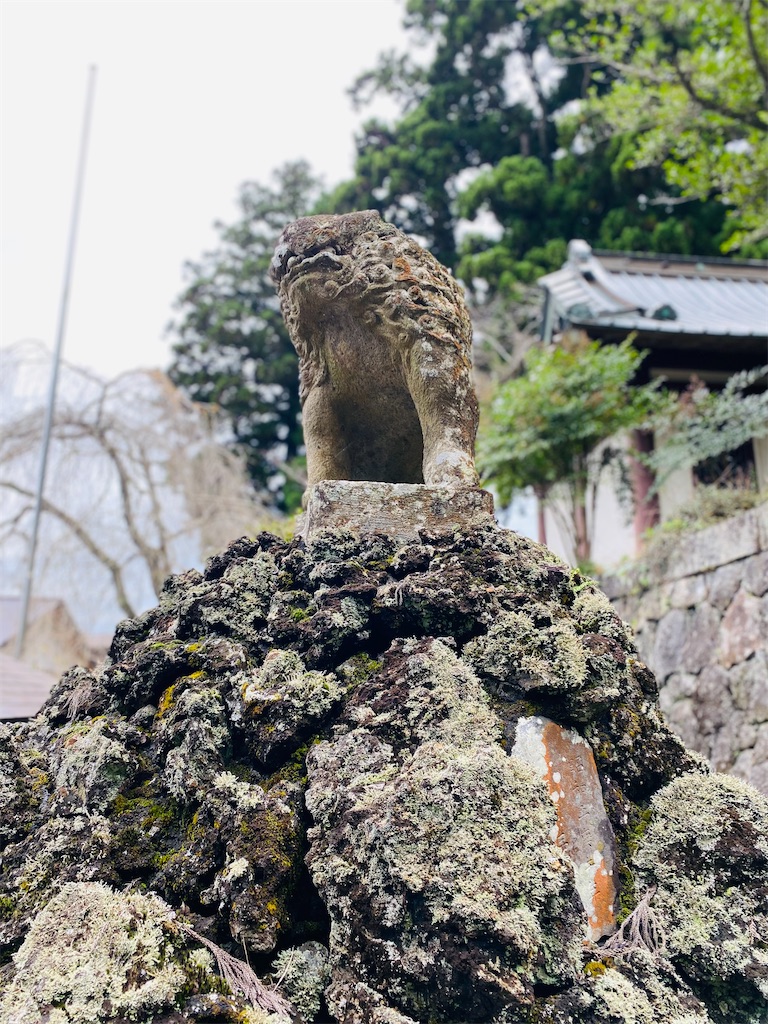 f:id:yukix03:20251103141640j:image