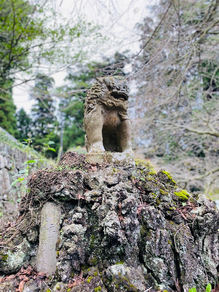 f:id:yukix03:20251103141644j:image