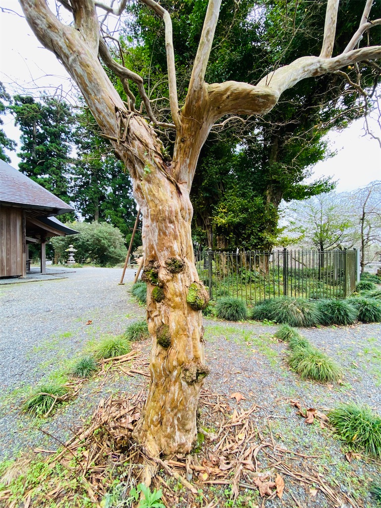 f:id:yukix03:20251103142028j:image