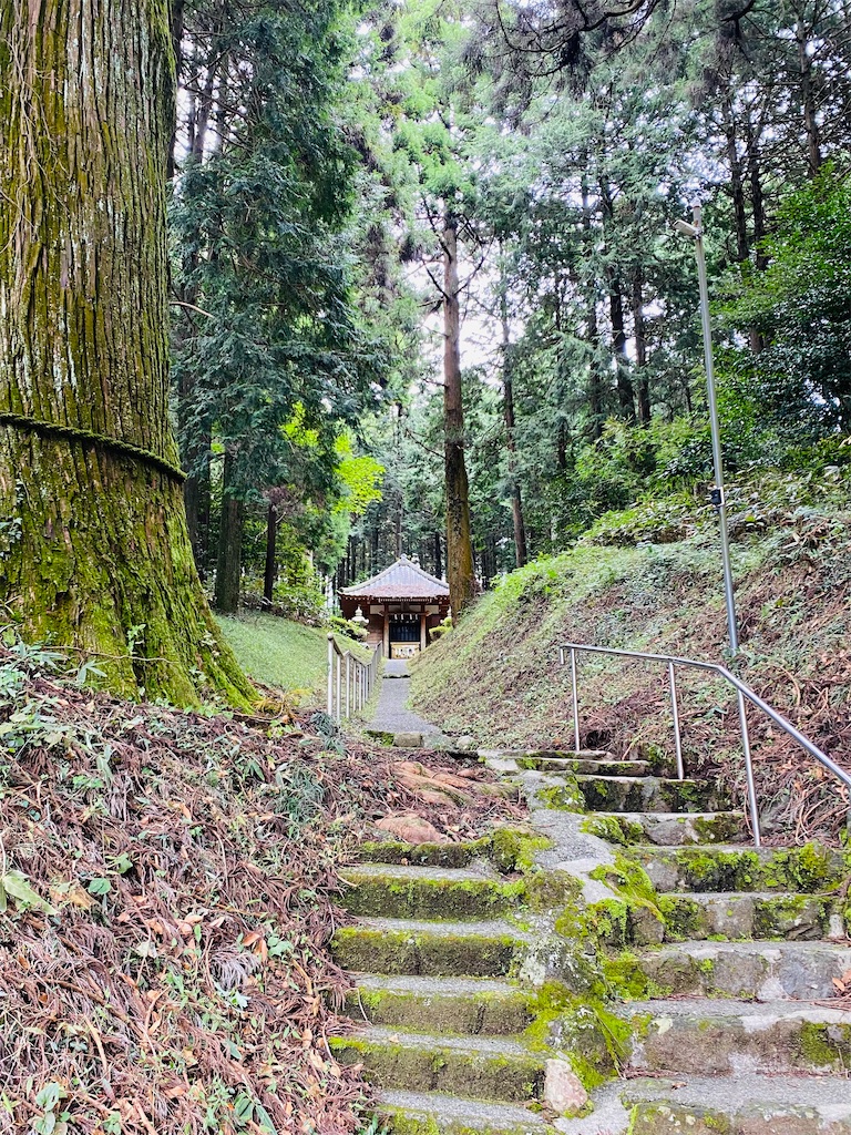 f:id:yukix03:20251103142144j:image