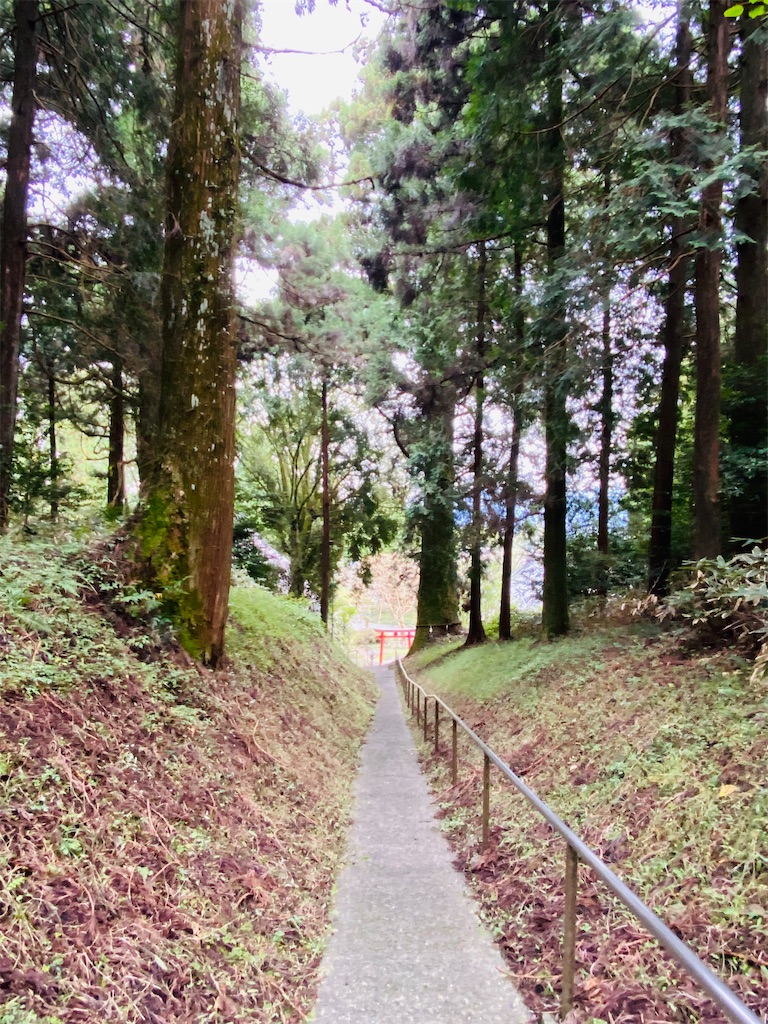 f:id:yukix03:20251103142222j:image