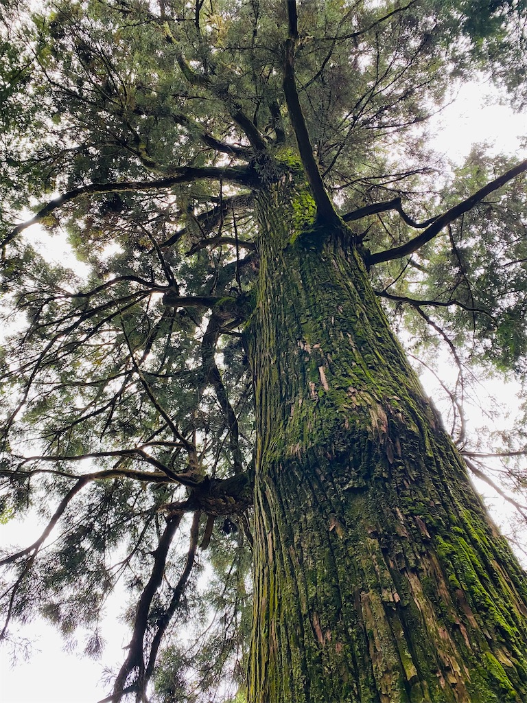 f:id:yukix03:20251103142250j:image