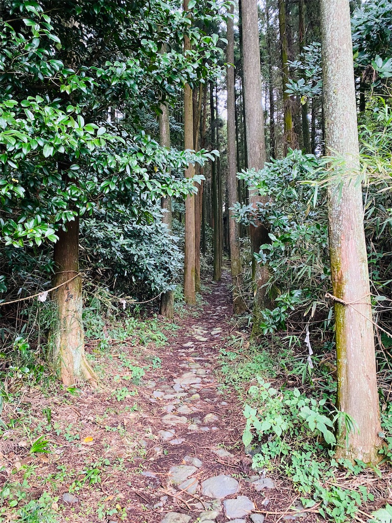 f:id:yukix03:20251103142905j:image