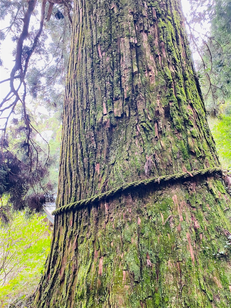 f:id:yukix03:20251103142944j:image